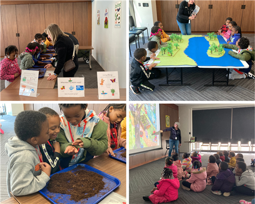 Collage Kindergarten students learning about Nature